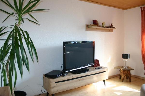 Traudi'S Huesing Apartman Born Kültér fotó